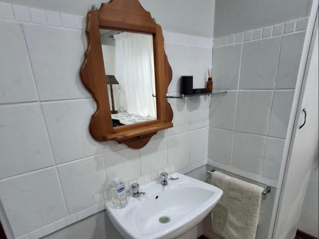 Tree Aloe Guest House 모코파네 객실 사진