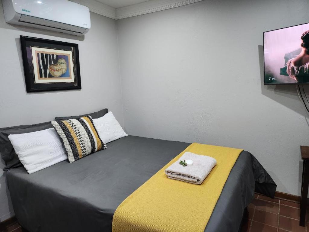 Tree Aloe Guest House 모코파네 객실 사진