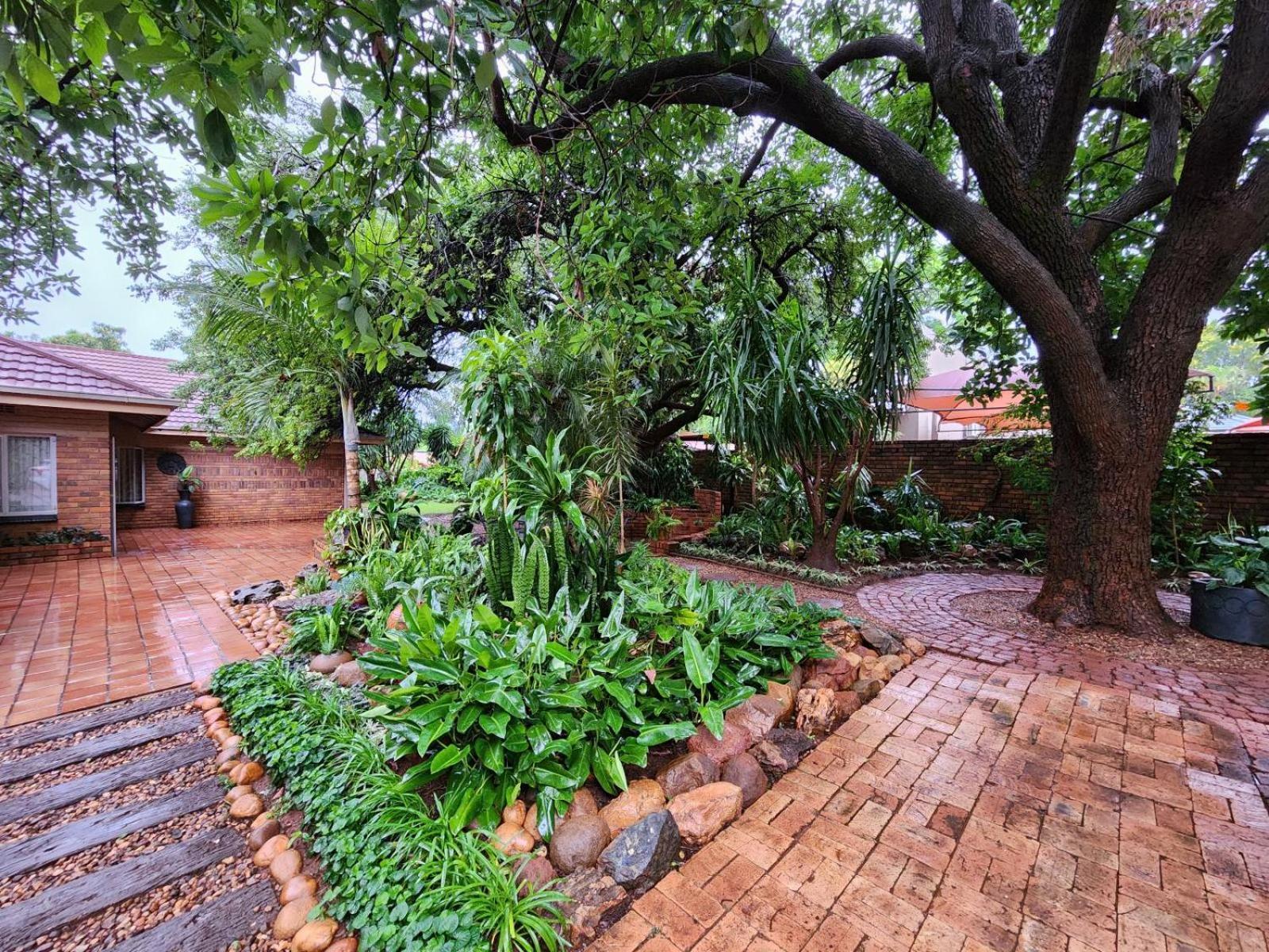 Tree Aloe Guest House 모코파네 외부 사진