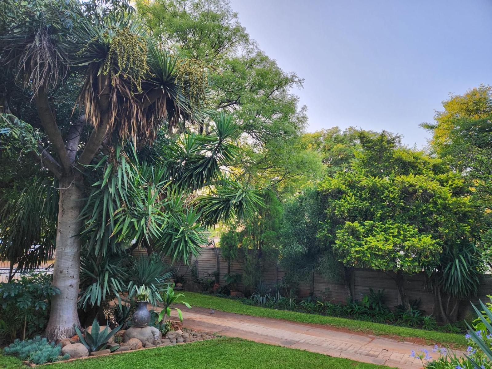 Tree Aloe Guest House 모코파네 외부 사진