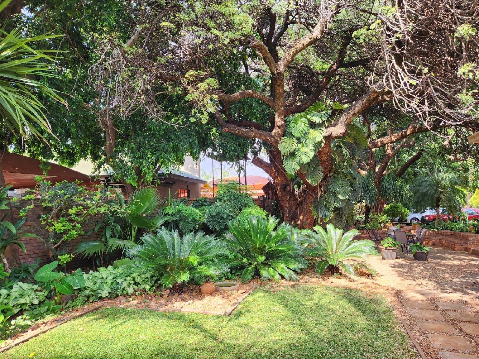 Tree Aloe Guest House 모코파네 외부 사진